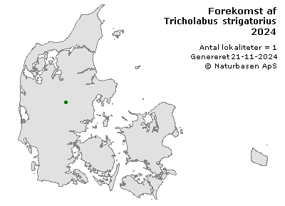 Tricholabus strigatorius - udbredelseskort