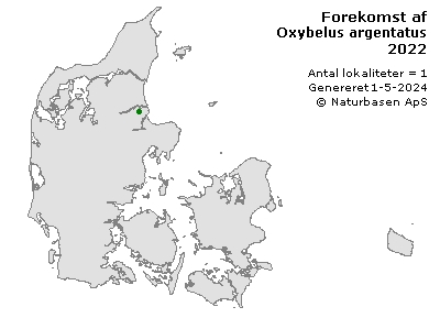 Oxybelus argentatus - udbredelseskort