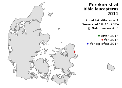 Bibio leucopterus - udbredelseskort