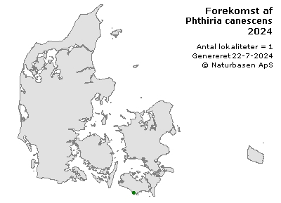 Phthiria canescens - udbredelseskort
