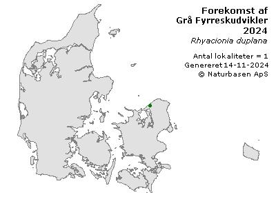 Grå Fyrreskudvikler - udbredelseskort