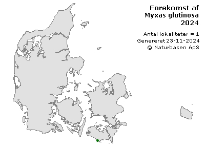 Myxas glutinosa - udbredelseskort