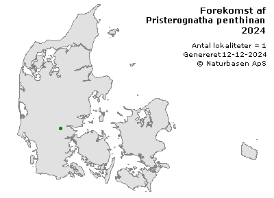 Pristerognatha penthinana - udbredelseskort