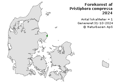 Pristiphora compressa - udbredelseskort