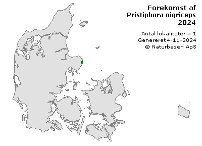 Pristiphora nigriceps - udbredelseskort