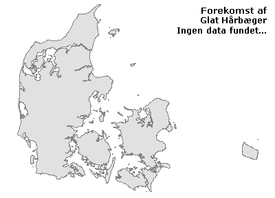 Glat Hårbæger - udbredelseskort