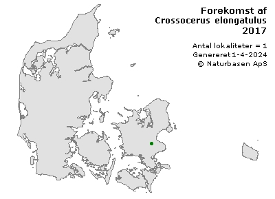 Crossocerus elongatulus - udbredelseskort