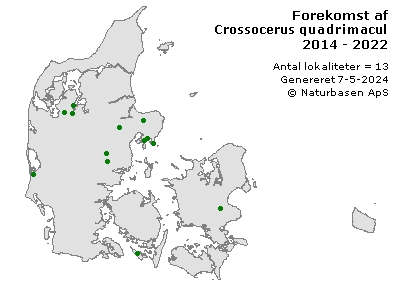 Crossocerus quadrimaculatus - udbredelseskort