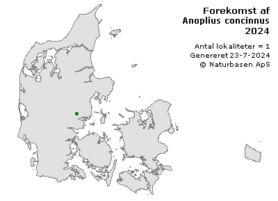 Anoplius concinnus - udbredelseskort