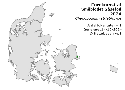 Småbladet Gåsefod - udbredelseskort