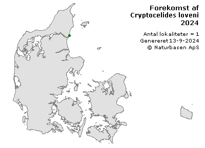 Cryptocelides loveni - udbredelseskort