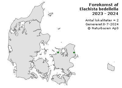 Elachista bedellella - udbredelseskort