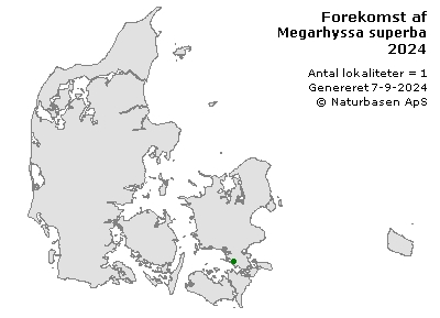 Megarhyssa superba - udbredelseskort