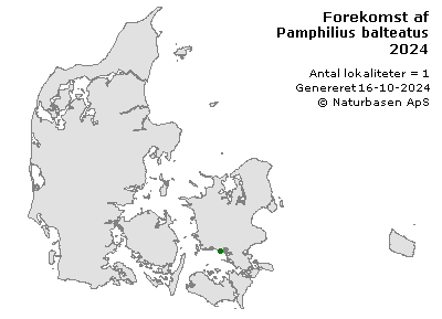 Pamphilius balteatus - udbredelseskort