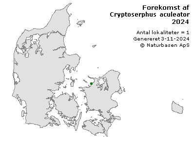 Cryptoserphus aculeator - udbredelseskort