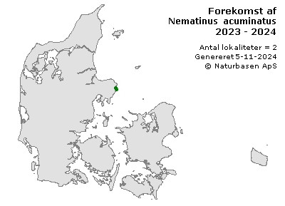 Nematinus acuminatus - udbredelseskort