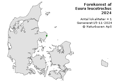 Euura leucotrochus - udbredelseskort