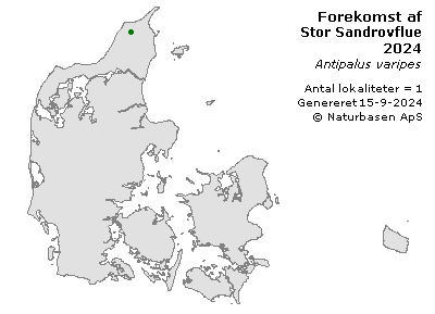 Stor Sandrovflue - udbredelseskort