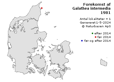Galathea intermedia - udbredelseskort