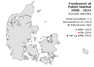 Puklet Skørhat - udbredelseskort