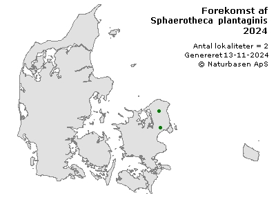 Sphaerotheca plantaginis - udbredelseskort