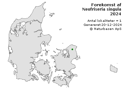 Neofriseria singula - udbredelseskort