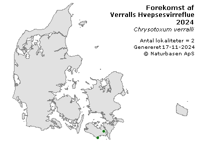 Verralls Hvepsesvirreflue - udbredelseskort