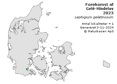 Gelé-Hindelav - udbredelseskort