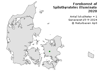 Spilothyrateles illuminatorius - udbredelseskort