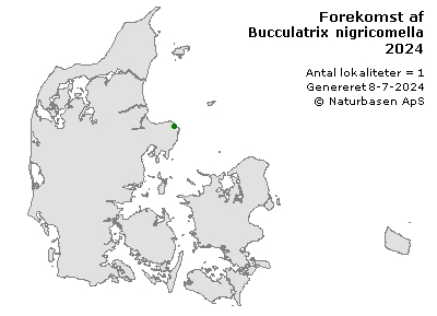 Bucculatrix nigricomella - udbredelseskort