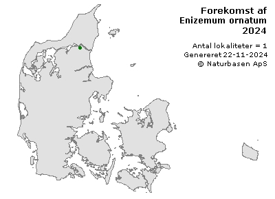 Enizemum ornatum - udbredelseskort