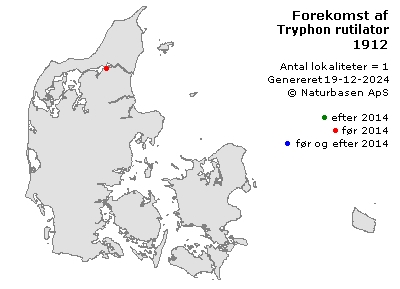 Tryphon rutilator - udbredelseskort