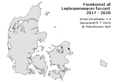 Leptosporomyces fuscostratus - udbredelseskort