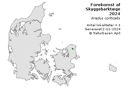 Skyggebarktæge - udbredelseskort