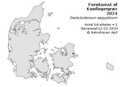 Kamfingergræs - udbredelseskort