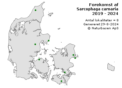 Sarcophaga carnaria - udbredelseskort