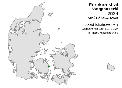 Vægpanserbi - udbredelseskort