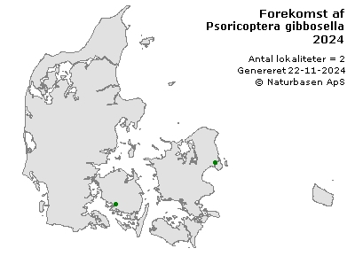 Psoricoptera gibbosella - udbredelseskort