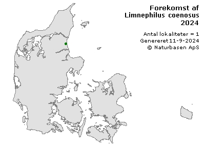 Limnephilus coenosus - udbredelseskort