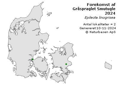 Gråspraglet Smutugle - udbredelseskort