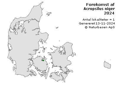 Acropsilus niger - udbredelseskort