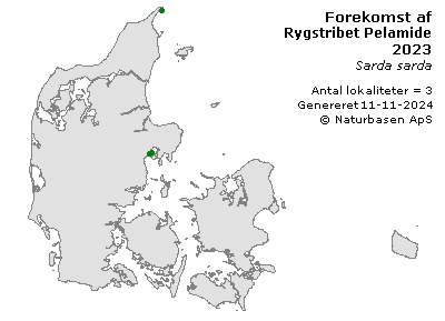 Rygstribet Pelamide - udbredelseskort