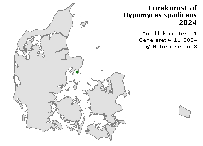 Hypomyces spadiceus - udbredelseskort