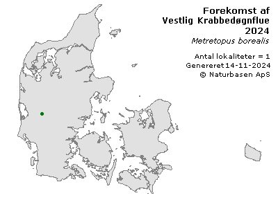 Vestlig Krabbedøgnflue - udbredelseskort