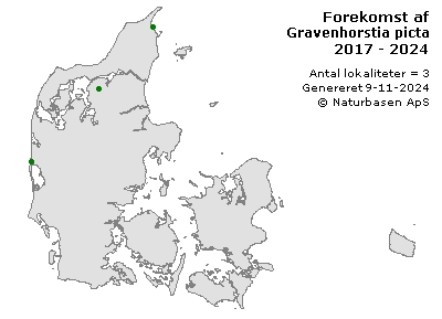 Gravenhorstia picta - udbredelseskort