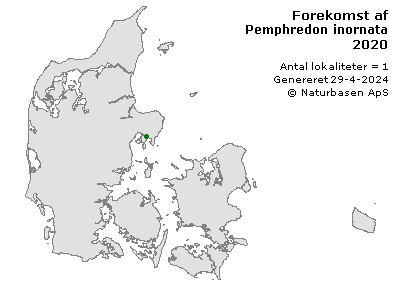 Pemphredon inornata - udbredelseskort