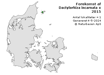 Dactylorhiza incarnata x maculata ssp. fuchsii - udbredelseskort