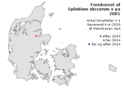 Epilobium obscurum x parviflorum - udbredelseskort