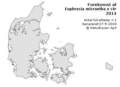 Euphrasia micrantha x stricta - udbredelseskort