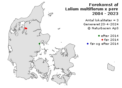 Lolium multiflorum x perenne - udbredelseskort